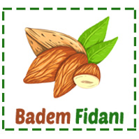 Badem Fidanı